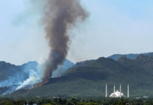 Margalla hills fire is result of 'mischief,' says CDA DG Irfan Niazi