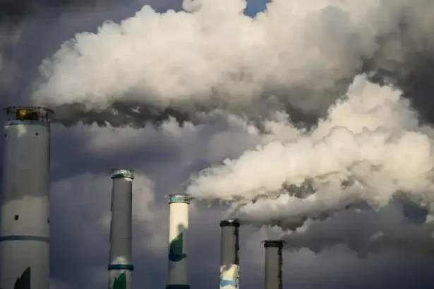 Climate crisis