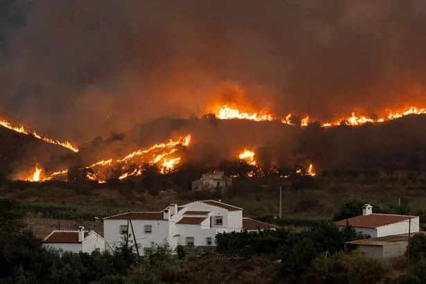 Spain wildfires