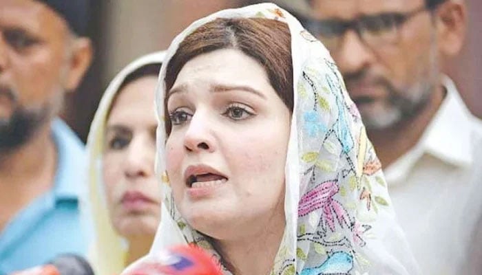 Mushaal Mullick stages protest outside PIMS children's ward