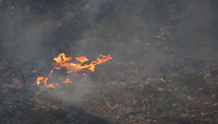 Belgium's record wildfire races toward German border