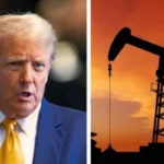 Trump calls oil executives to White House over price gouging claims