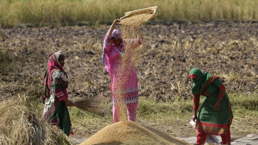 Women own just 2pc of land in Pakistan, study reveals