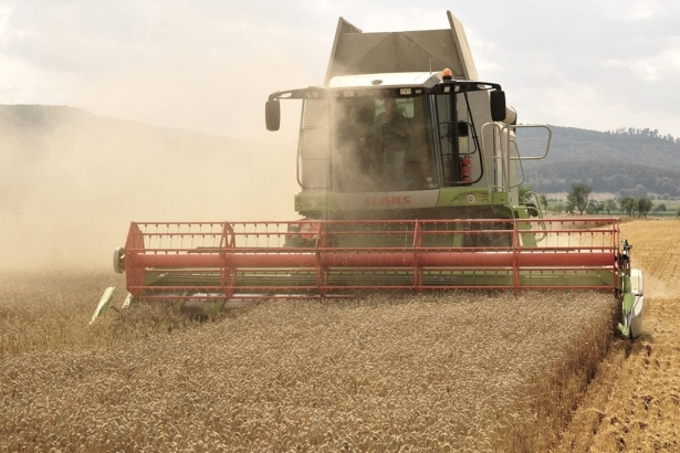 Combine harvester working in a wheat field