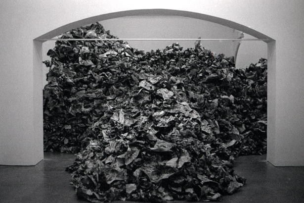 Pakistani artist Imran Qureshi