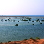 Coastline at Umm Al Quwain, United Arab Emirates